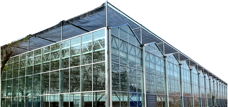 中濤專注膜結(jié)構(gòu)工程建設(shè)